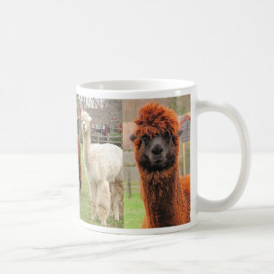Three Alpacas ~ mug