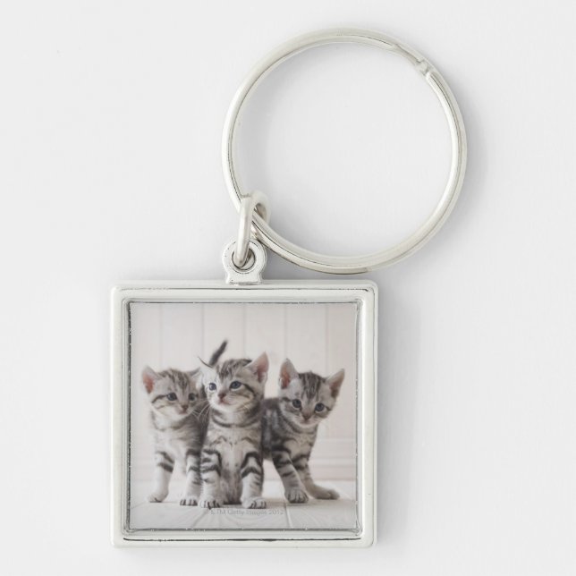 Three American Shorthair Kittens Key Ring (Front)