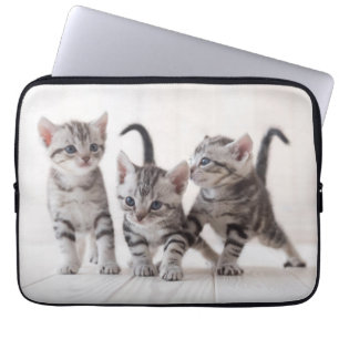 Three American Shorthair Playing Laptop Sleeve