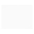 Three American Shorthair Playing