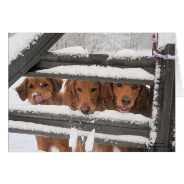 Three Amigo's (Front Horizontal)