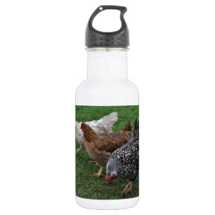 Three Amigos 532 Ml Water Bottle