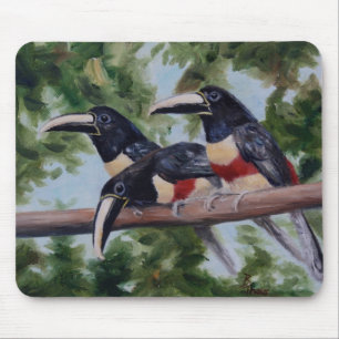 Three Amigo's Toucan Mousepad
