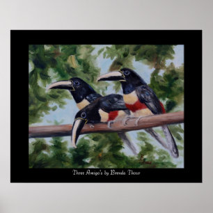 Three Amigo's Toucan Poster Print