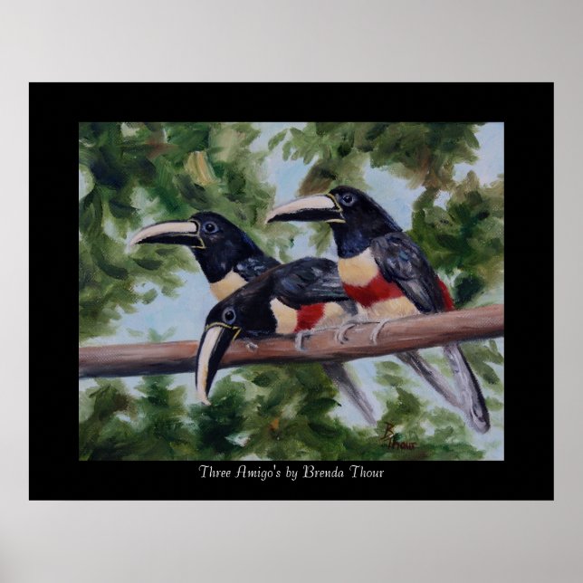 Three Amigo's Toucan Poster Print (Front)
