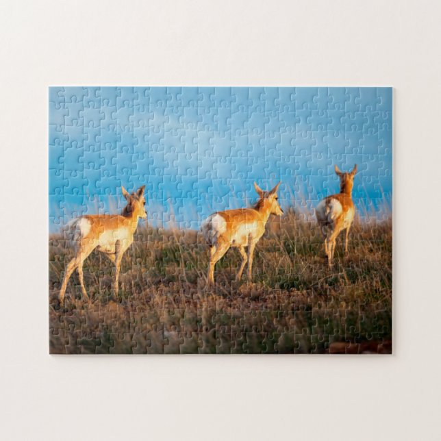 Three antelope walking away at sunset jigsaw puzzle (Horizontal)