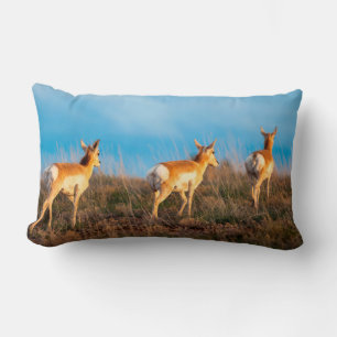 Three antelope walking away at sunset lumbar cushion