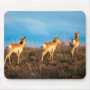Three antelope walking away at sunset mouse pad