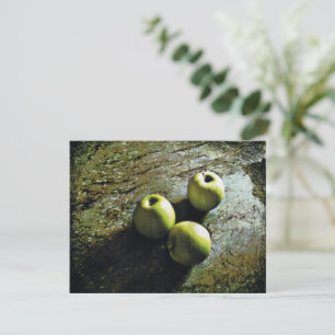 Three Apples Holiday Card