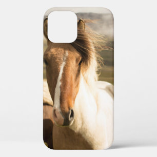 THREE ASSORTED-COLOR HORSES RUNNING AWAY FROM A MO iPhone 12 CASE