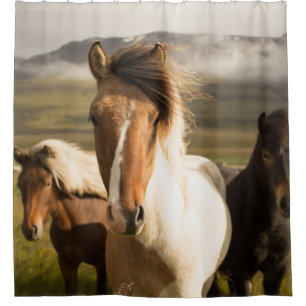 THREE ASSORTED-COLOR HORSES RUNNING AWAY FROM A MO SHOWER CURTAIN