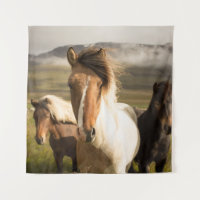 THREE ASSORTED-COLOR HORSES RUNNING AWAY FROM A MO