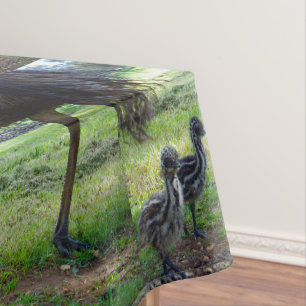 Three Australian Emu Chicks, Tablecloth