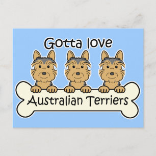 Three Australian Terriers Postcard