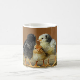 Three Baby Chicks Coffee Mug