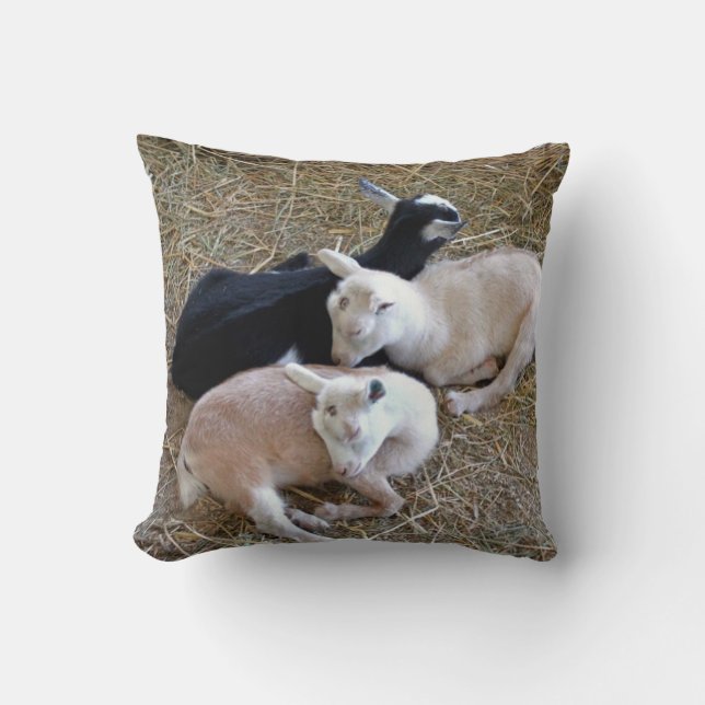 Three Baby Goats Cushion (Front)