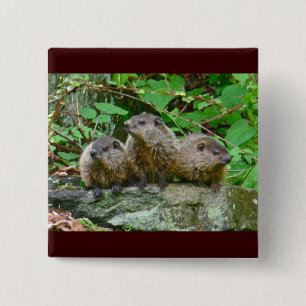 Three Baby Groundhogs 15 Cm Square Badge