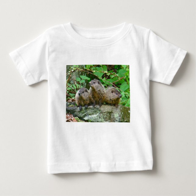 Three Baby Groundhogs Baby T-Shirt (Front)