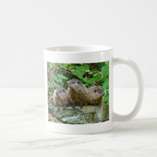 Three Baby Groundhogs Coffee Mug