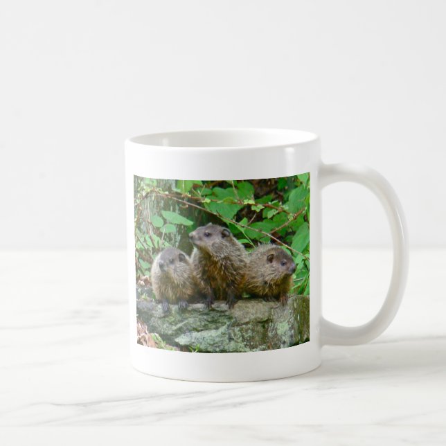 Three Baby Groundhogs Coffee Mug (Right)