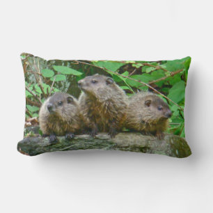 Three Baby Groundhogs Lumbar Cushion