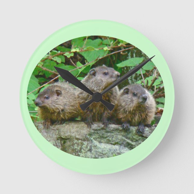 Three Baby Groundhogs Round Clock (Front)