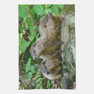 Three Baby Groundhogs Tea Towel