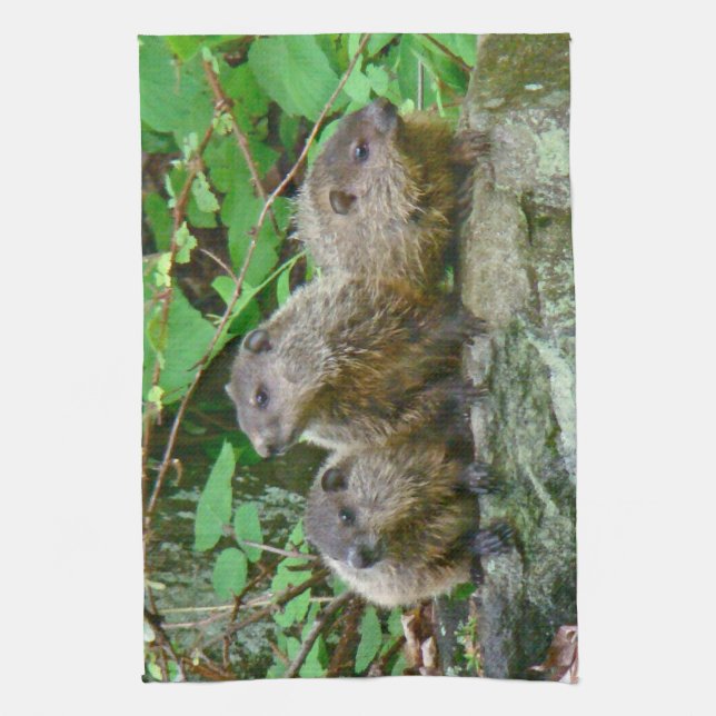 Three Baby Groundhogs Tea Towel (Vertical)