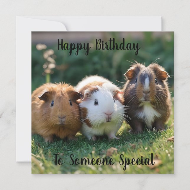 Three Baby Guinea Pigs, (Front)