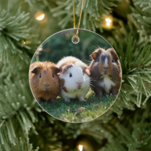 Three Baby Guinea Pigs, Ceramic Ornament