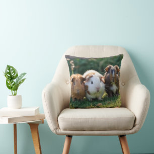 Three Baby Guinea Pigs, Cushion