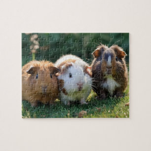 Three Baby Guinea Pigs, Jigsaw Puzzle