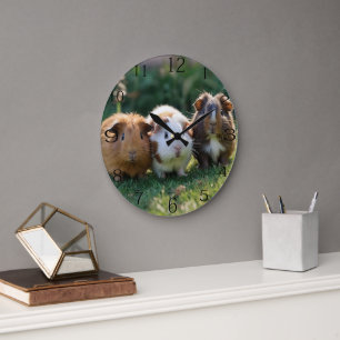 Three Baby Guinea Pigs, Large Clock