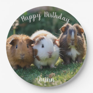 Three Baby Guinea Pigs, Paper Plate
