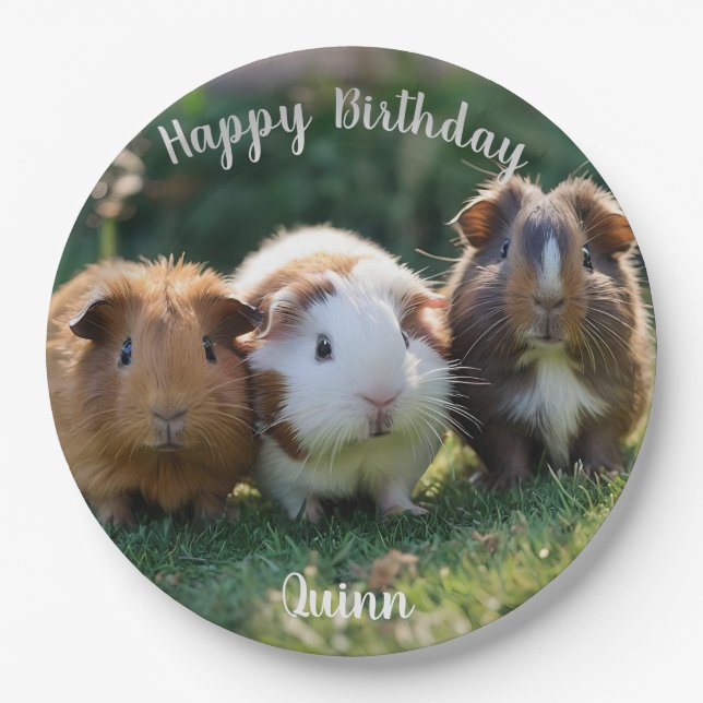 Three Baby Guinea Pigs, Paper Plate (Front)