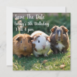 Three Baby Guinea Pigs, Save The Date