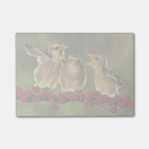Three Baby Lanius Schach Birds Post-it Notes
