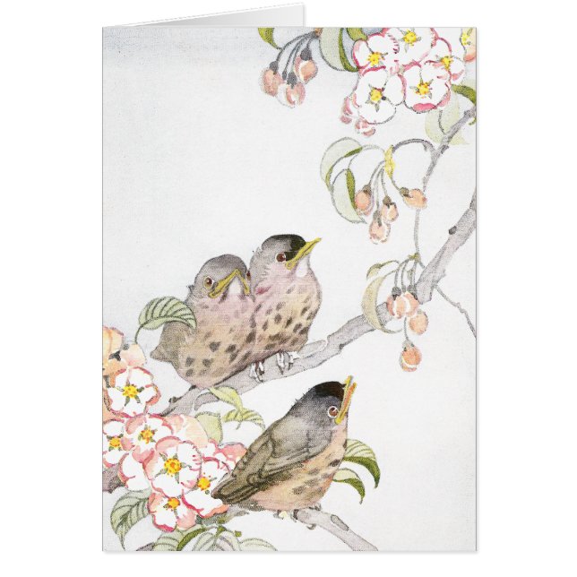 Three Baby Robins in a Cherry Tree (Front)