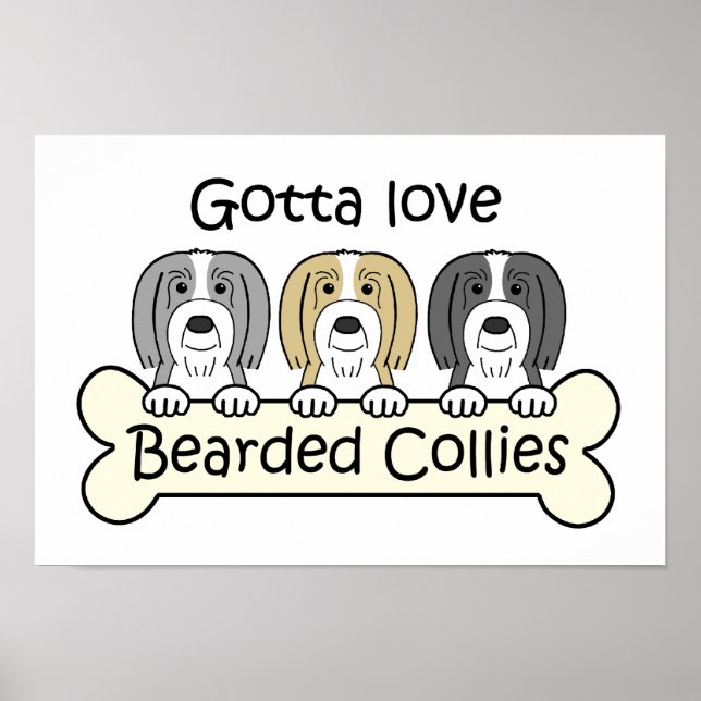 Three Bearded Collies Poster (Front)