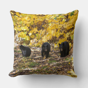 Three Bears Cushion