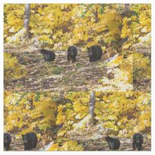 Three Bears Fabric