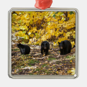 Three Bears Metal Ornament