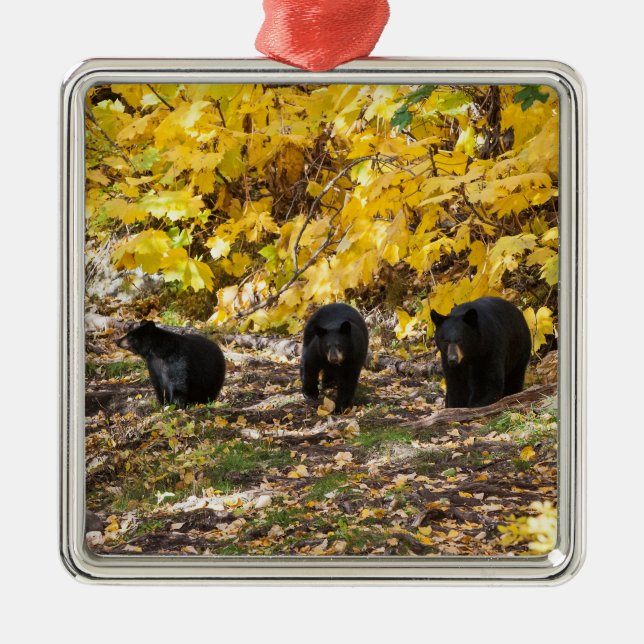 Three Bears Metal Ornament (Front)