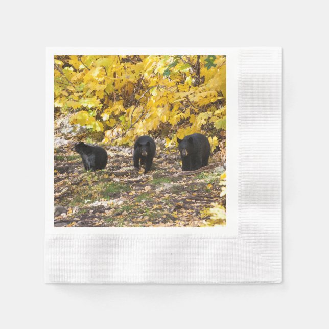 Three Bears Napkin (Front)