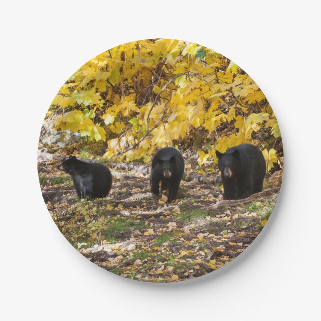 Three Bears Paper Plate (Front)