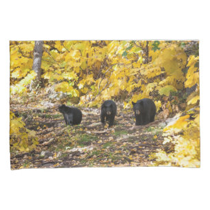 Three Bears Pillowcase