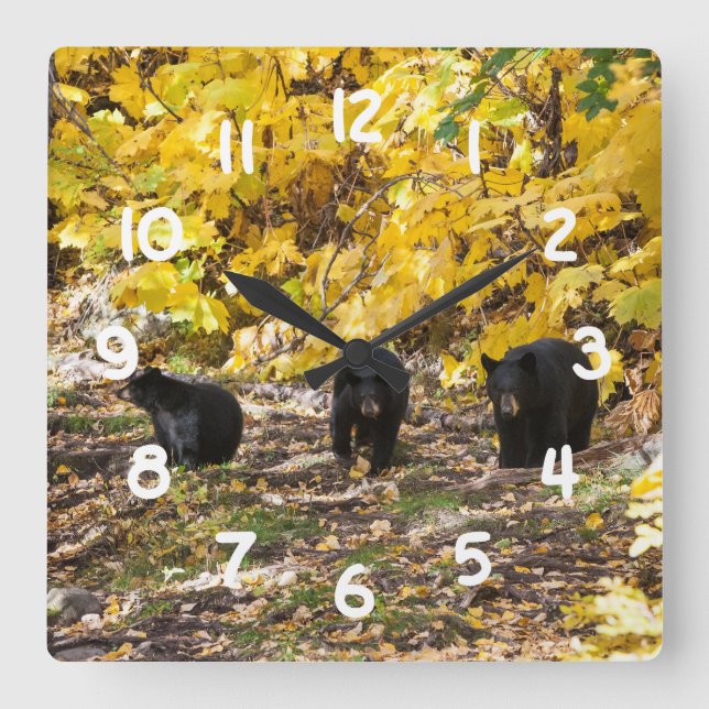 Three Bears Square Wall Clock (Front)