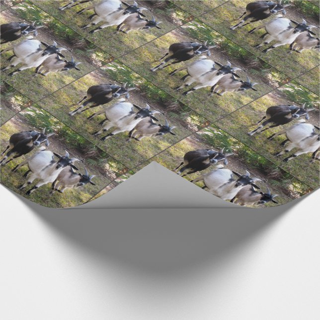 Three Billy Goats Wrapping Paper (Corner)
