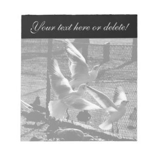 Three birds notepad