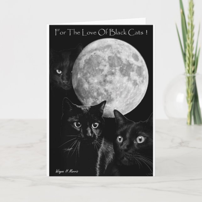 Three black cats and the moon greeting card (Front)